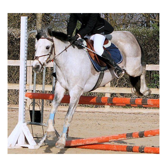 Tapis Equi-Thème