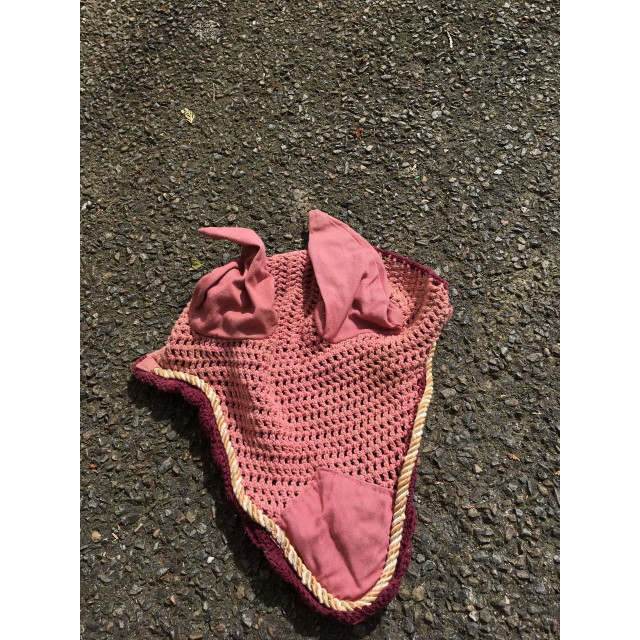 Bonnet