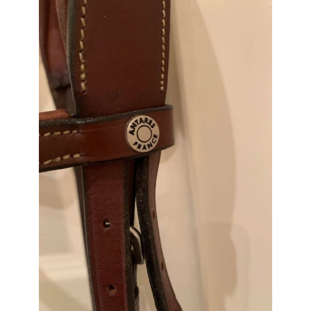 Filet Antares - Muserole croisée