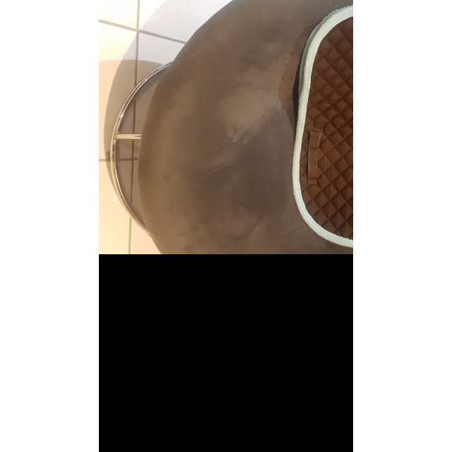 Tapis de selle