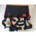 Tapis Magnetique Equilibrium