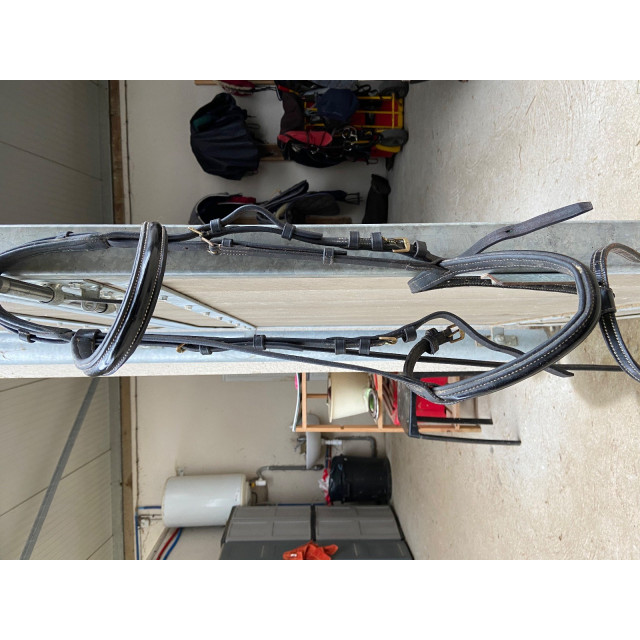 Filet avec du vernis muserolle frontal