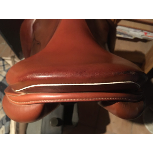 selle golden star