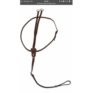 Martingale Antares
