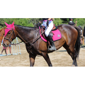 Ensemble Kingsland rose