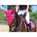 Ensemble Kingsland rose