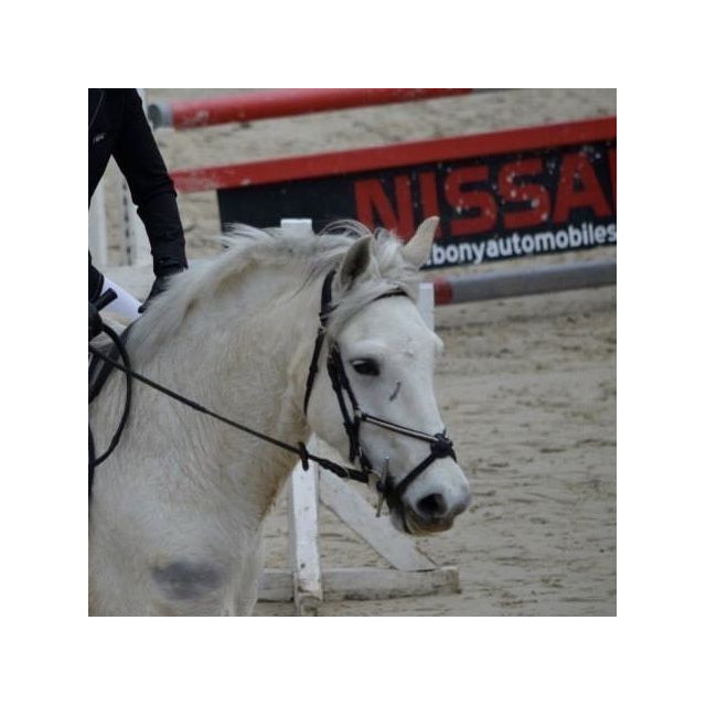 Bridon Deauville COB