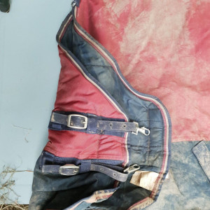 Couverture  + couvre cou Equitheme - modele Tyrex - 1200 deniers - 300g