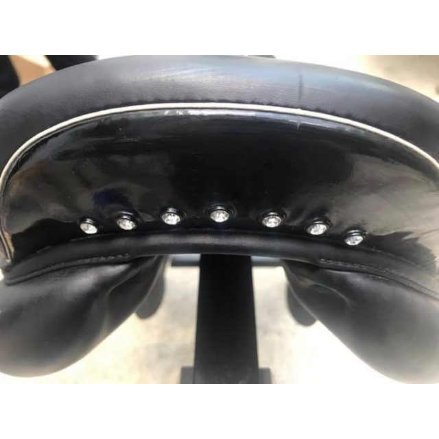 Selle CSO Hervé Godignon