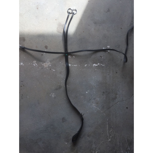 Martingale à anneaux