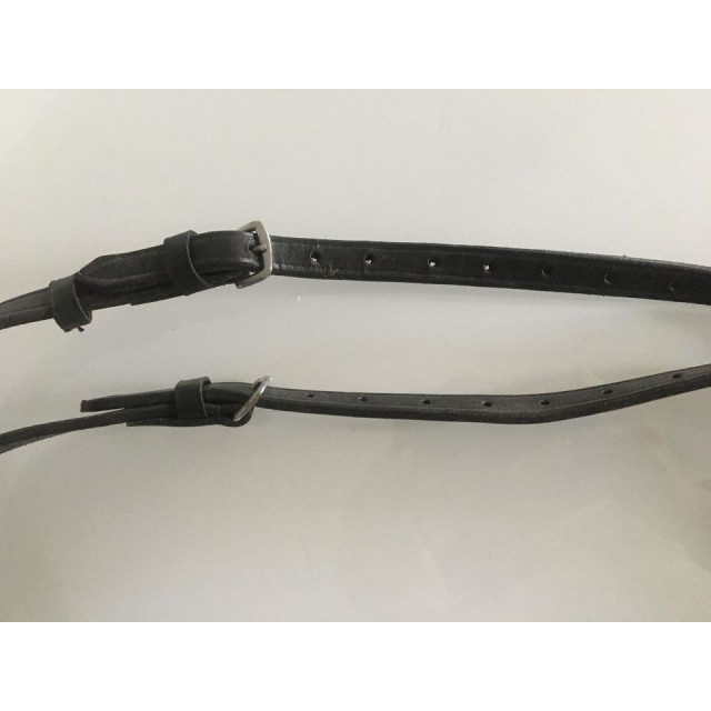 Rènes fixes