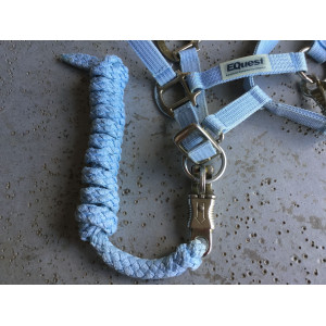 licol et longe poney