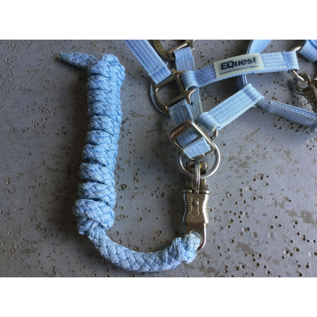 licol et longe poney