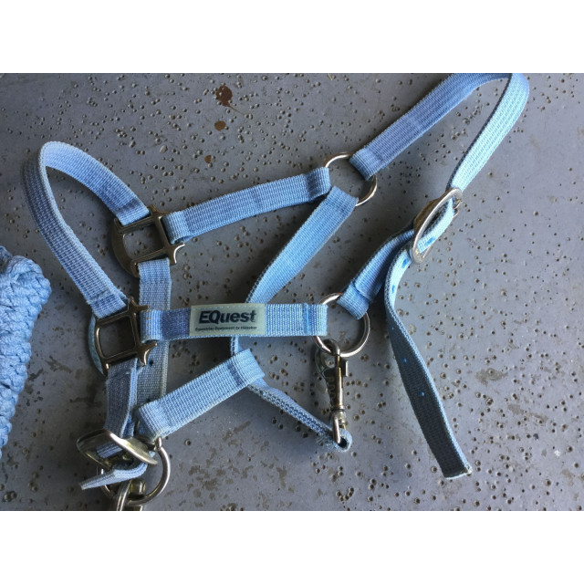 licol et longe poney