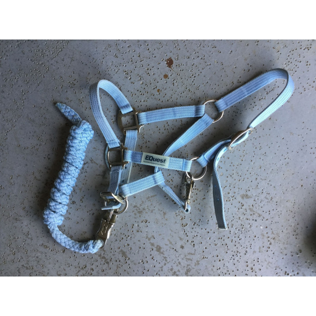 licol et longe poney