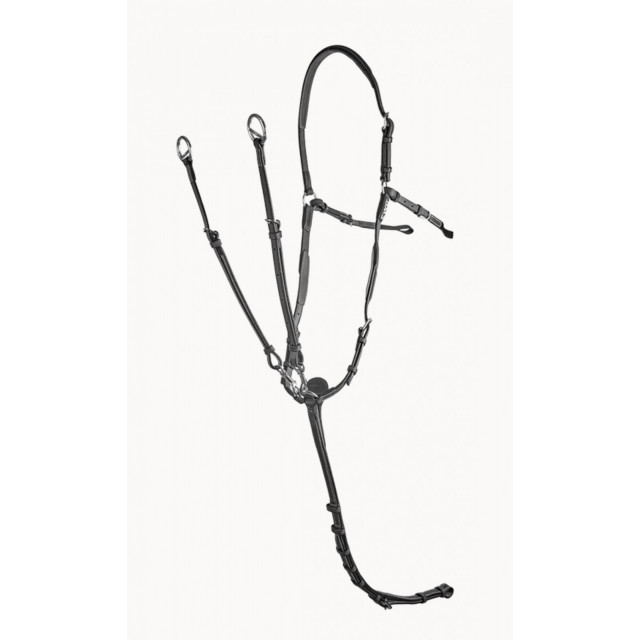 Collier de chasse CWD noir