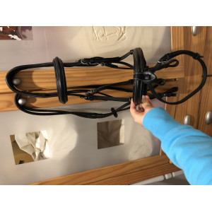 Bridon anatomie HFI avec paire de rènes