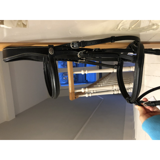 Bridon anatomie HFI avec paire de rènes