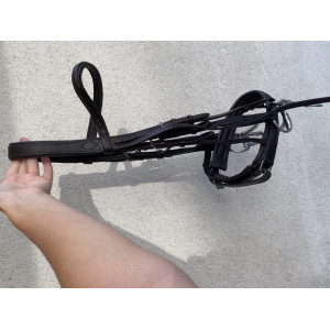 Bride marron Time rider