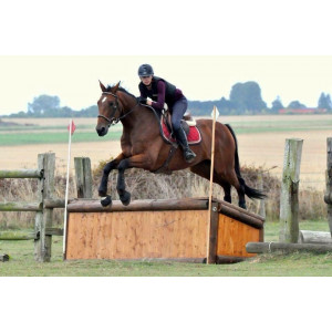 Tapis Equitheme bordeaux