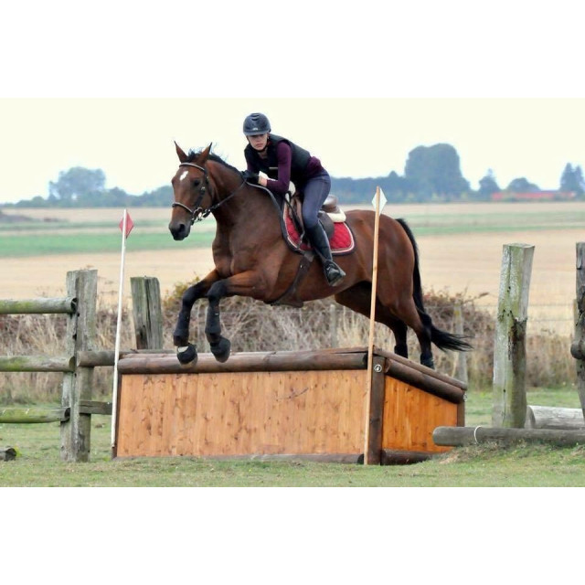 Tapis Equitheme bordeaux