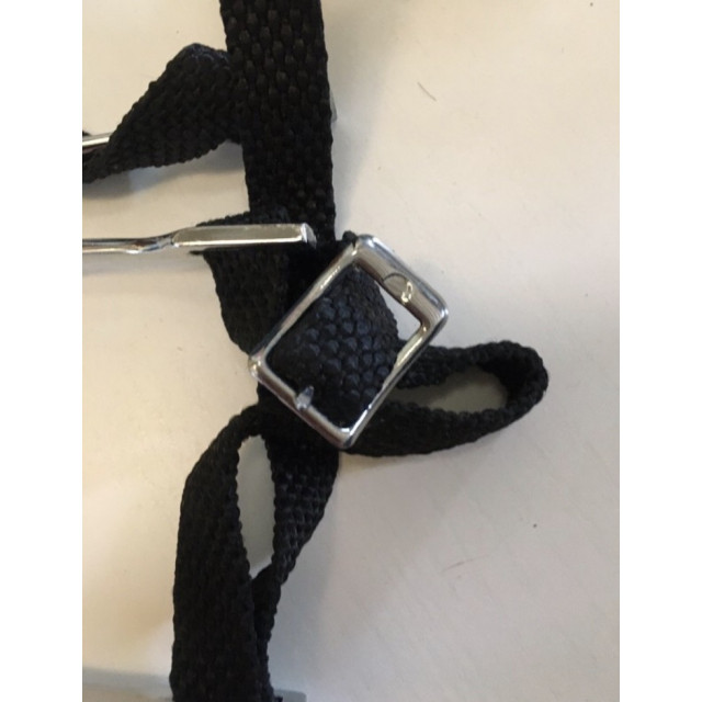 Éperons à bouts ronds 20mm