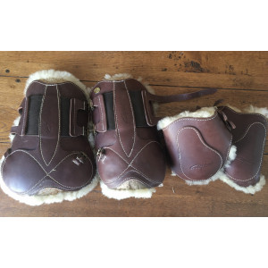 Ensemble protections Dyon