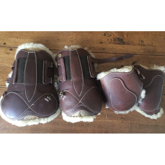 Ensemble protections Dyon