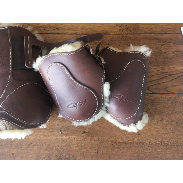 Ensemble protections Dyon