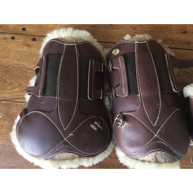 Ensemble protections Dyon