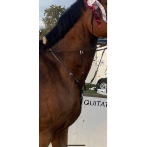 Martingale Pénélope