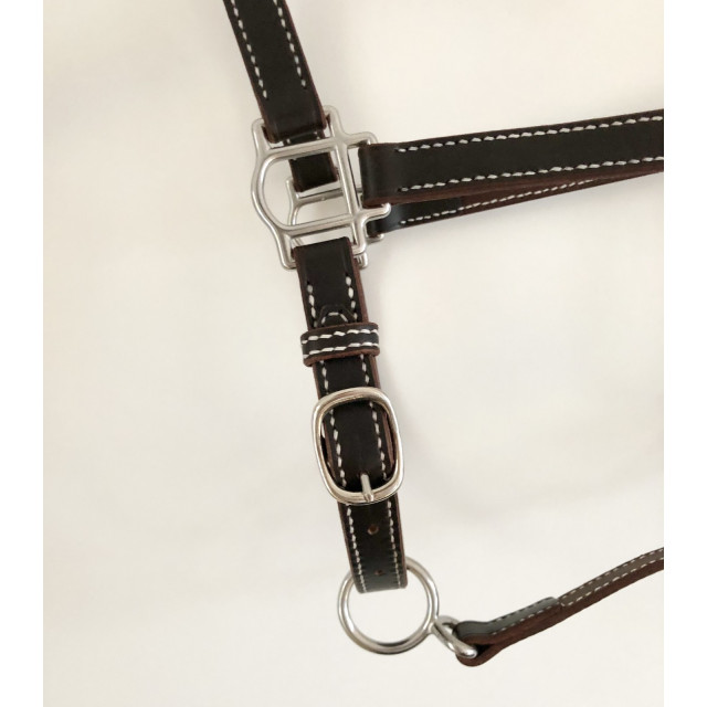Licol en cuir