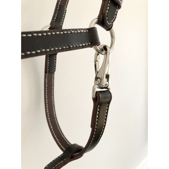 Licol en cuir