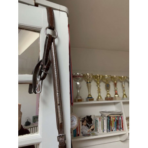 Collier de chasse + martingale clincher