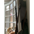 Collier de chasse + martingale clincher