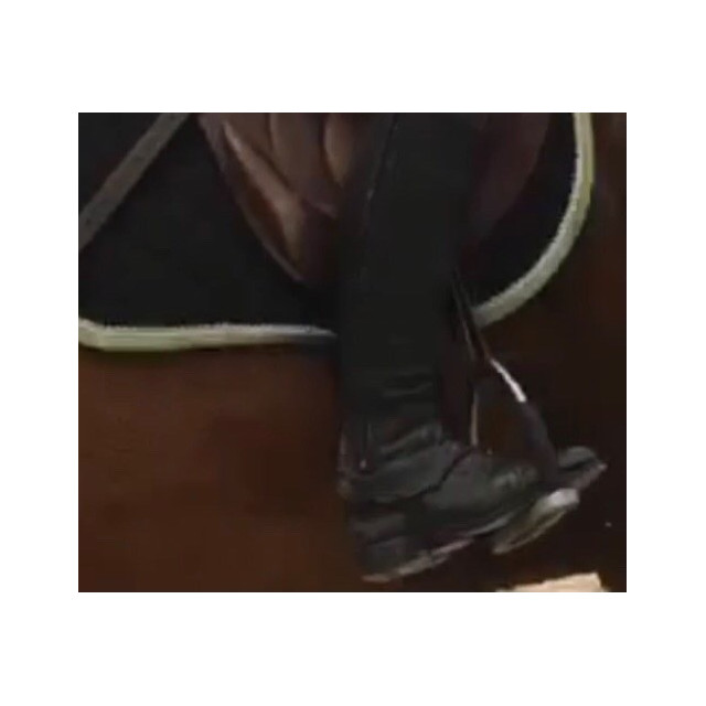 Étriers Sprenger articulés