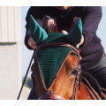 Ensemble Tapis/Bonnet Equidees