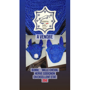 Bonnet Herve Godignon