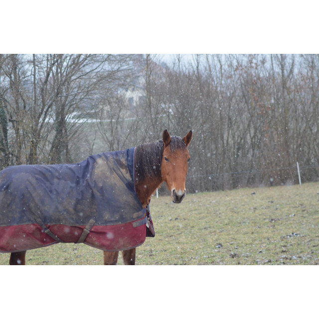 Couverture tyrex high neck