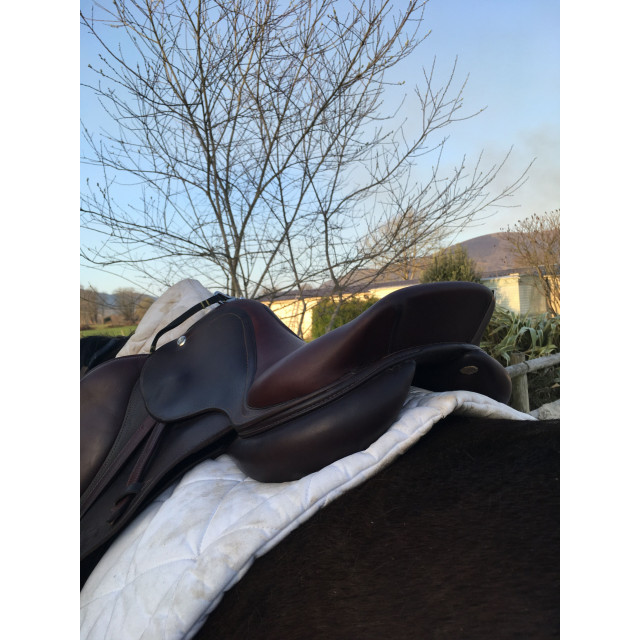 Selle CWD