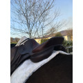Selle CWD