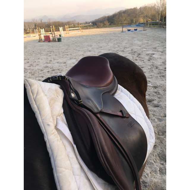 Selle CWD