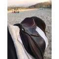 Selle CWD