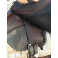 Selle CWD