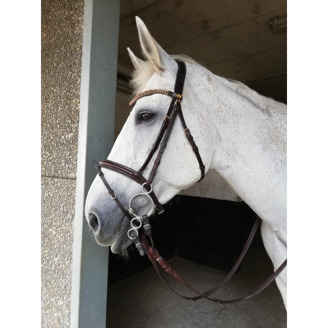 Bridon muserolle combinée Schockemöhle Xtreme + strass Swarovski