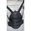 Coque dorsale