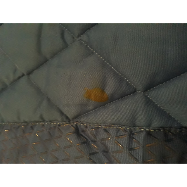 Tapis bleu à vendre