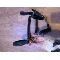 Vend licol en cuir