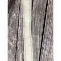 Collier de chasse et martingale