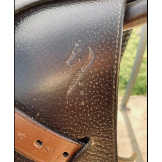 Selle antares
